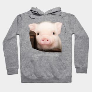 Pig pet cute Hoodie